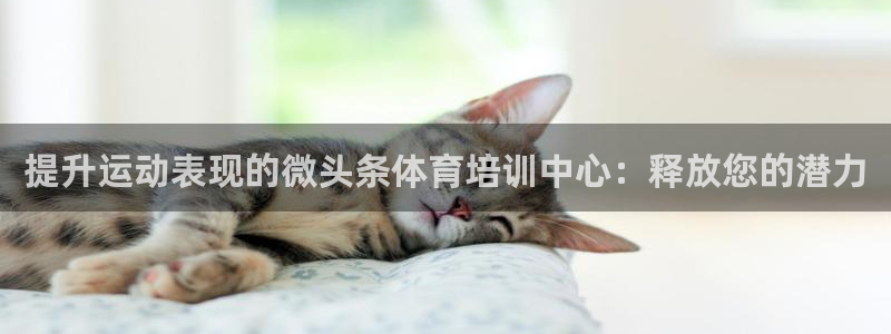 耀世娱乐中国总部地址：提升运动表现的微头条体育培训中