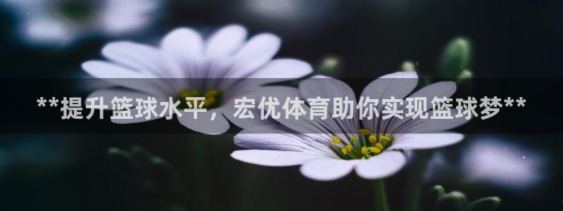 耀世平台有很多登录地址怎么办：**提升篮球水平，宏优