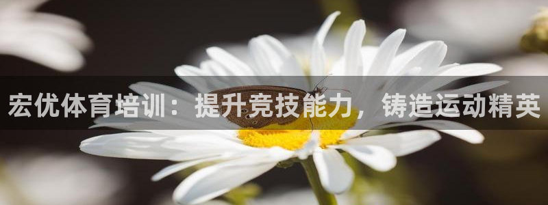 耀世平台信 585341 平台：宏优体育培训：提升竞