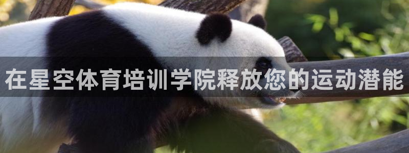 耀世平台注册网址：在星空体育培训学院释放您的运动潜能