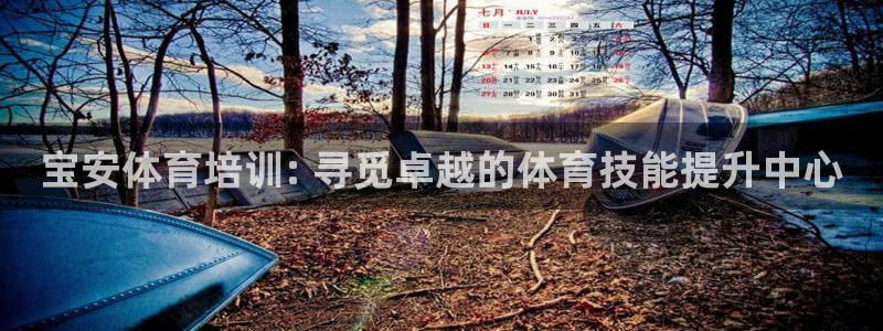 耀世登场下一句：宝安体育培训: 寻觅卓越的体育技能提
