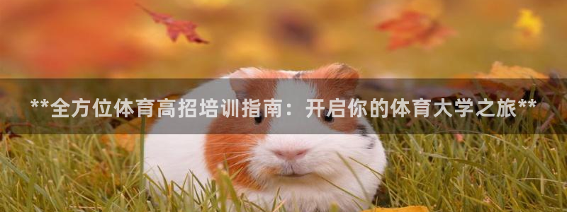 耀世平台最新注册地址：**全方位体育高招培训指南：开