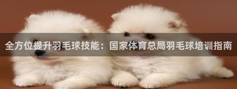 耀世集团耀宗：全方位提升羽毛球技能：国家体育总局羽毛
