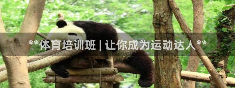 耀世登场的意思：**体育培训班 | 让你成为运动达人