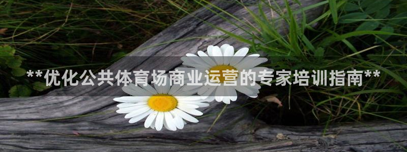 耀世娱乐雷 5O69I7：**优化公共体育场商业运营