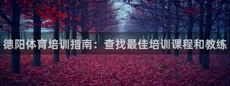 耀世金生产品介绍：德阳体育培训指南：查找最佳培训课程