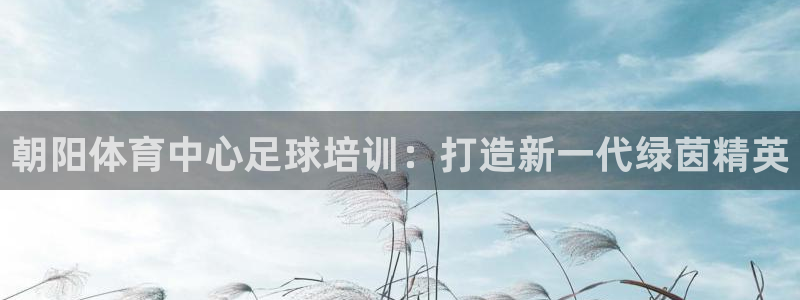 耀世平台代理注册登录：朝阳体育中心足球培训：打造新一