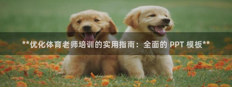 耀世官网注册时间：**优化体育老师培训的实用指南：全