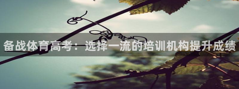 耀世娱乐是玛雅旗下的吗是真的吗：备战体育高考：选择一