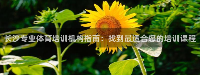 耀世平台代理怎么样：长沙专业体育培训机构指南：找到最