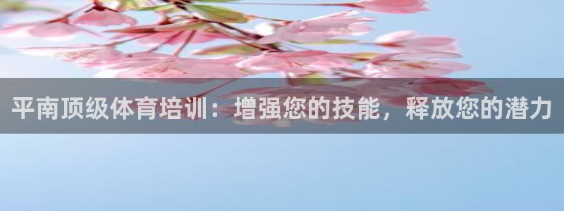 耀世娱乐登录地址在哪：平南顶级体育培训：增强您的技能