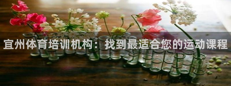 耀世娱乐总代理是谁：宜州体育培训机构：找到最适合您的
