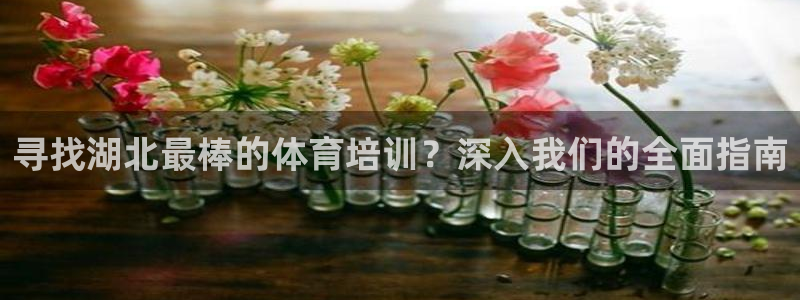耀世娱乐老板叫什么：寻找湖北最棒的体育培训？深入我们