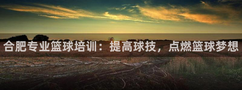 耀世娱乐能提现到微信吗：合肥专业篮球培训：提高球技，