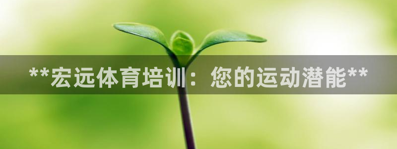 耀世娱乐可以玩吗是真的吗：**宏远体育培训：您的运动
