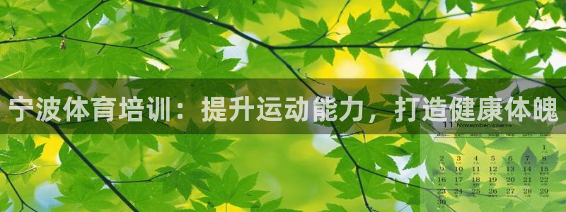耀世娱乐软件下载安装：宁波体育培训：提升运动能力，打