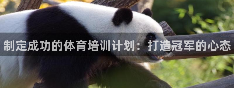 耀世首开什么意思：制定成功的体育培训计划：打造冠军的
