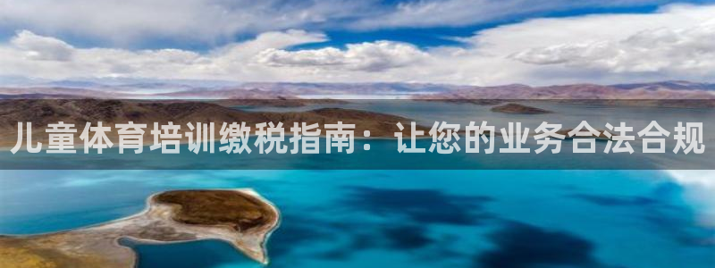 耀世平台的运营模式：儿童体育培训缴税指南：让您的业务