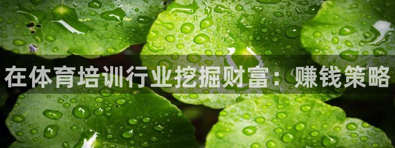 耀世娱乐注册入口官网：在体育培训行业挖掘财富：赚钱策