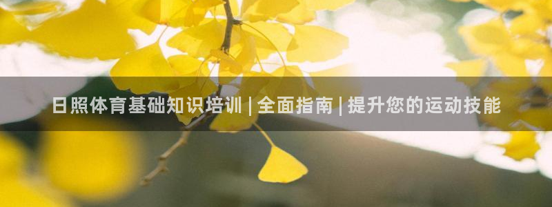 耀世辉煌：日照体育基础知识培训 | 全面指南 | 提