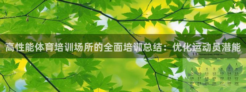 耀世启幕：高性能体育培训场所的全面培训总结：优化运动