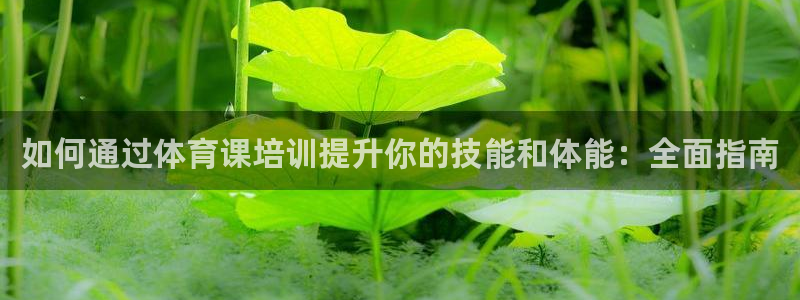耀世娱乐挂机教程：如何通过体育课培训提升你的技能和体