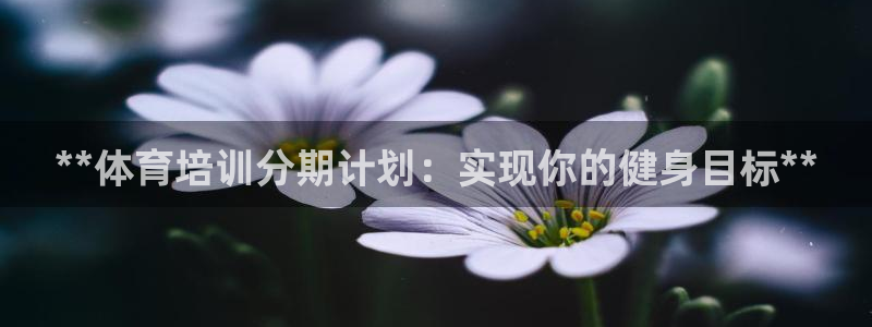 耀世娱乐脚本下载：**体育培训分期计划：实现你的健身