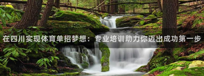 耀世娱乐是什么意思啊：在四川实现体育单招梦想：专业培