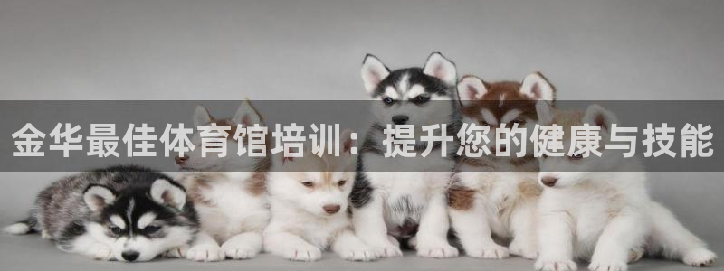 耀世娱乐佳 411O31 耀世：金华最佳体育馆培训：