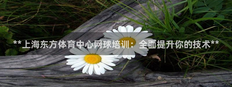 耀世平台会员中心怎么进：**上海东方体育中心网球培训