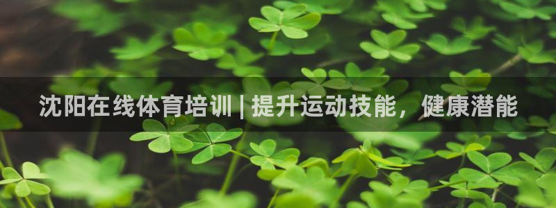 耀世令有什么用：沈阳在线体育培训 | 提升运动技能，