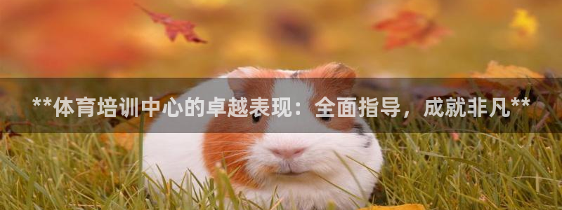 耀世传媒好吗：**体育培训中心的卓越表现：全面指导，