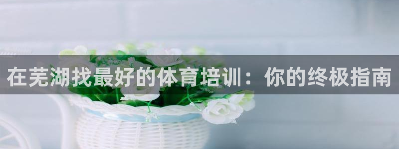 耀世平台的运营模式：在芜湖找最好的体育培训：你的终极