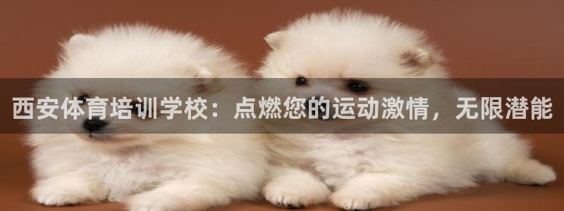 耀世娱乐总代理是谁：西安体育培训学校：点燃您的运动激