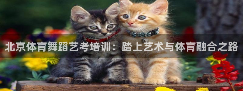 耀世娱乐怎么注册：北京体育舞蹈艺考培训：踏上艺术与体