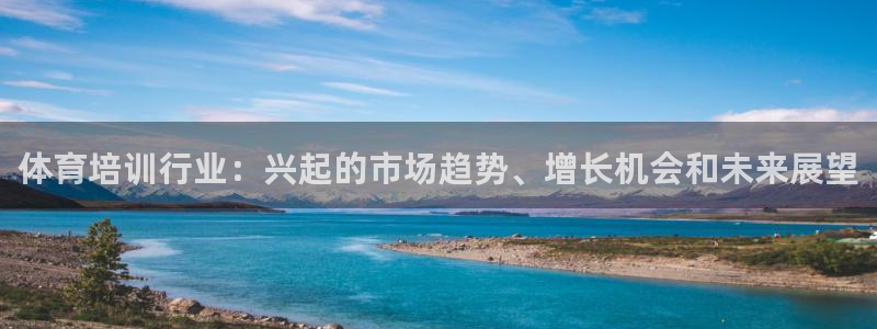 耀世娱乐平台注册地址在哪里找：体育培训行业：兴起的市