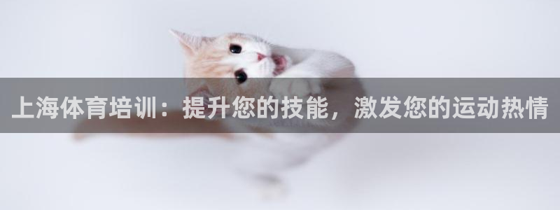 耀世娱乐返点：上海体育培训：提升您的技能，激发您的运