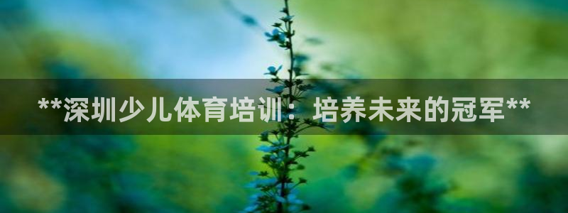 耀世平台注册网址是什么啊：**深圳少儿体育培训：培养