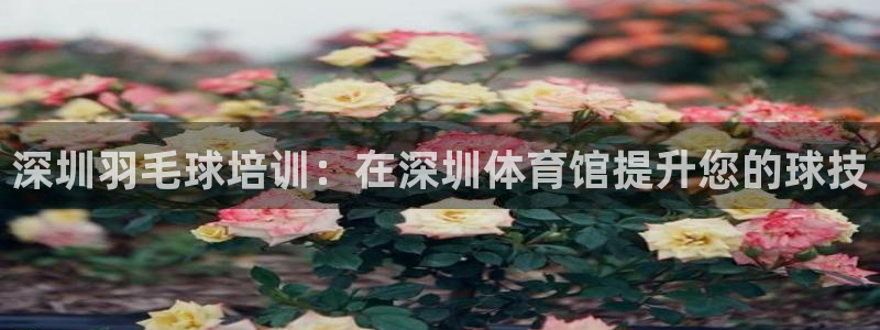 耀世集团董事长：深圳羽毛球培训：在深圳体育馆提升您的