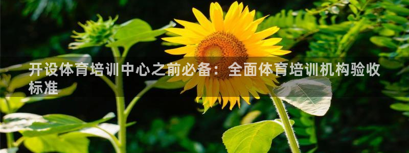 耀世的意思是什么：开设体育培训中心之前必备：全面体育