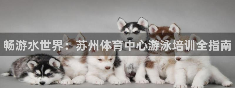 耀世娱乐客服电话号码：畅游水世界：苏州体育中心游泳培