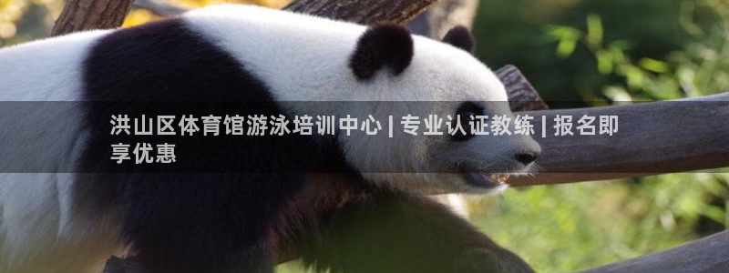 耀世平台开户怎么开：洪山区体育馆游泳培训中心 | 专