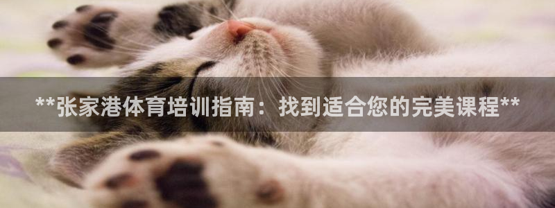 耀世平台代理怎么做任务：**张家港体育培训指南：找到