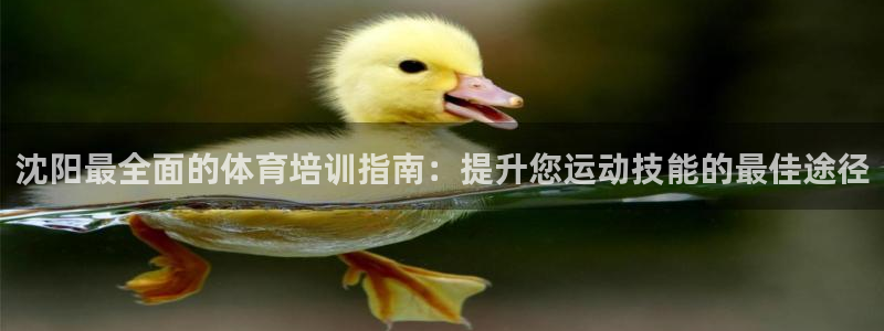 耀世平台可 585341 平台：沈阳最全面的体育培训