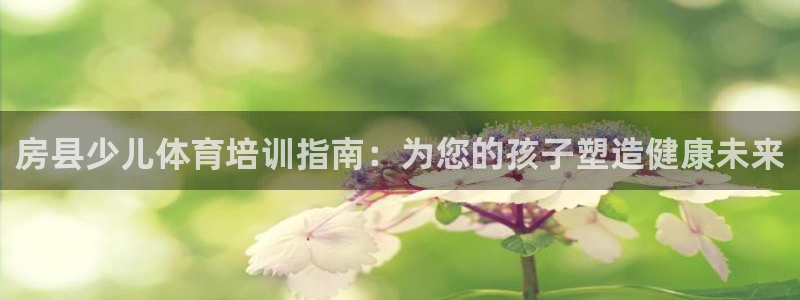 耀世娱乐挂机脚本下载：房县少儿体育培训指南：为您的孩