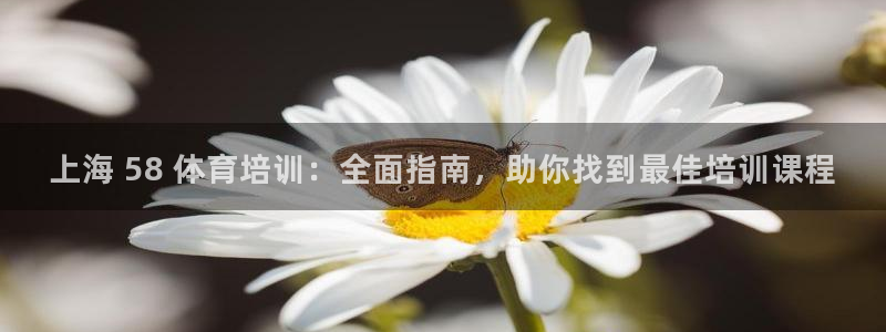耀世平台马 5O6917 耀世：上海 58 体育培训
