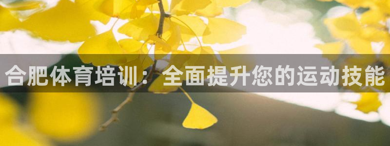 耀世传说：合肥体育培训：全面提升您的运动技能