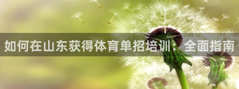 耀世平台注册步骤图：如何在山东获得体育单招培训：全面