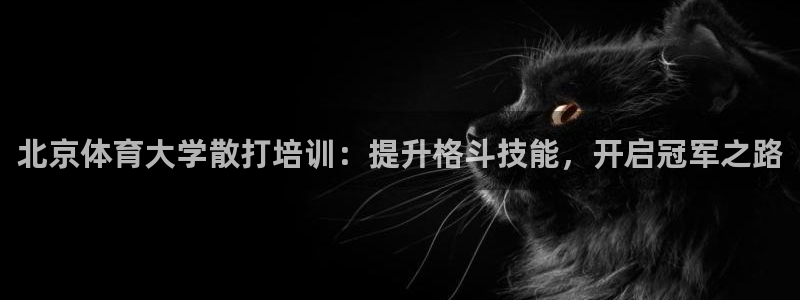 耀世平台注册步骤及时间：北京体育大学散打培训：提升格
