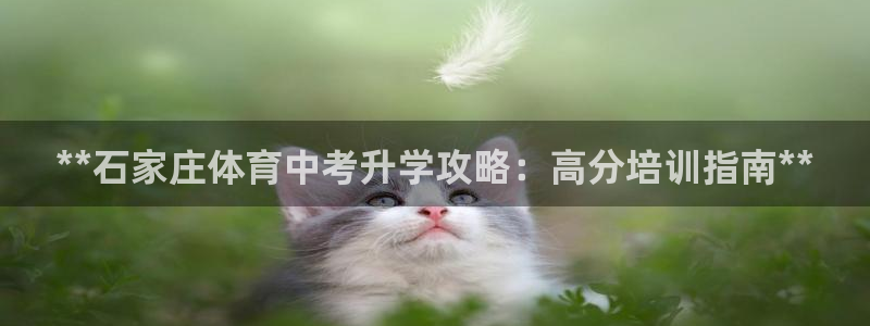 耀世第二关：**石家庄体育中考升学攻略：高分培训指南